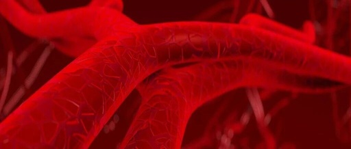 Microrobots Achieve Targeted Drug Delivery for Precision Therapy