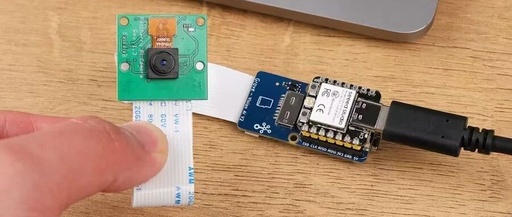 Low-Cost Offline AI 3D Printing Error Detection Integrated with Home Assistant