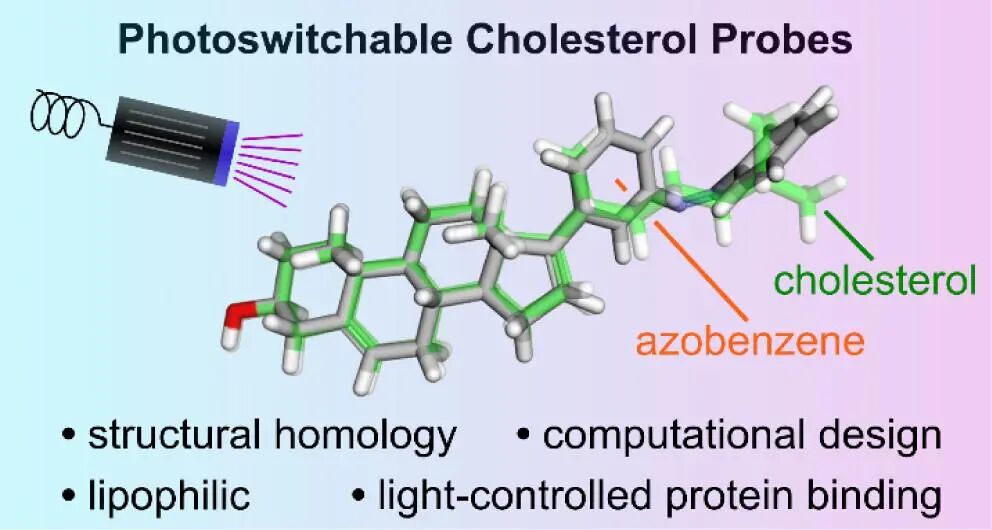 Development of Photoswitchable Cholesterol Derivatives through Side Chain Replacement