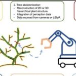 How Can Orchard Robots Generate Income Beyond Harvesting?