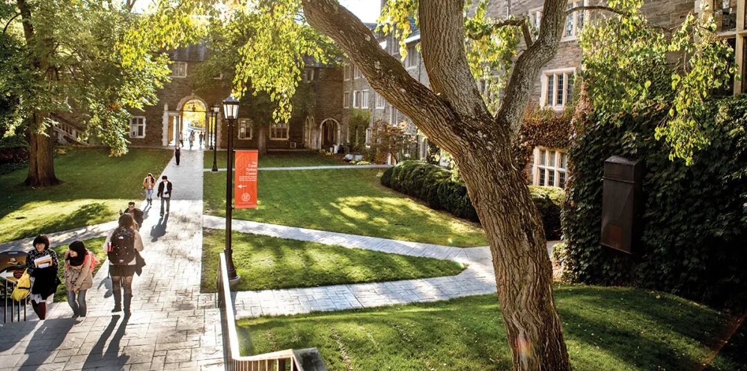 Case Study of Transferring to Cornell: From Being Compared to Taking Center Stage in the Journey of Pursuing Dreams