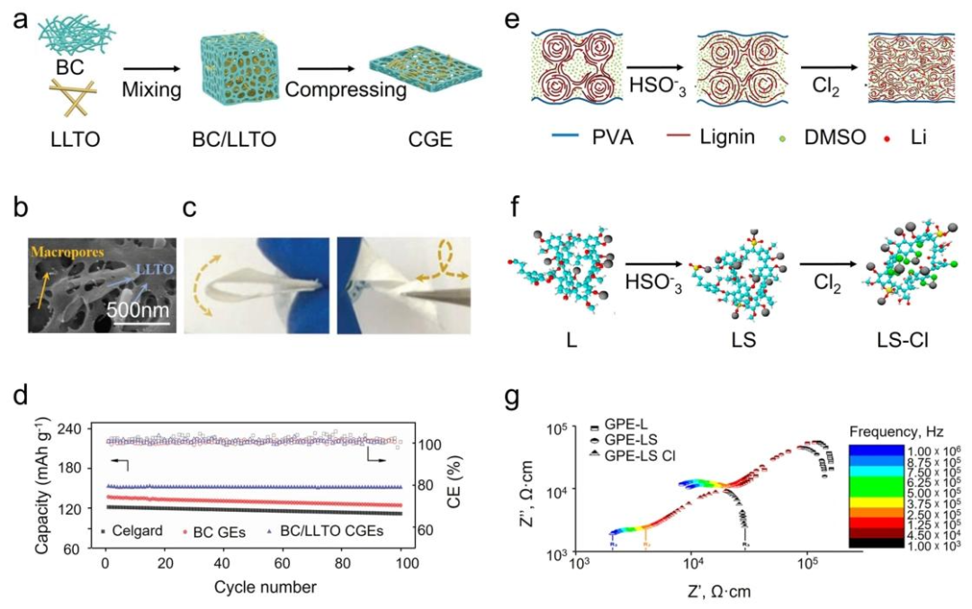 Lignocellulose-Mediated Gel Polymer Electrolytes: Enabling Next-Generation Energy Storage Devices