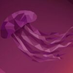Experiences with the Linux Desktop System