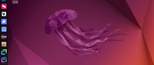 Experiences with the Linux Desktop System