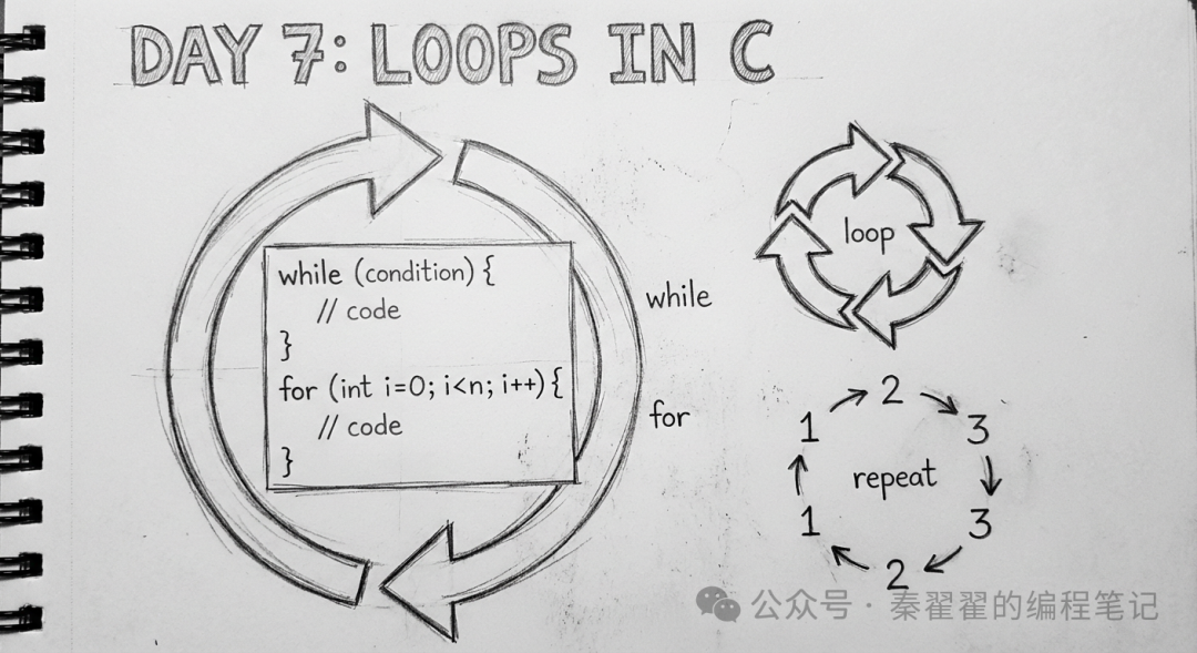 Day 7 of C Language: Loops = Making Programs Repeat Tasks