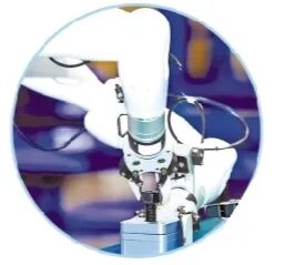 Beijing Provides Platform for 'Pragmatic' Robots to Break Out