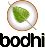 Bodhi Linux: A Lightweight Ubuntu-Based Distribution