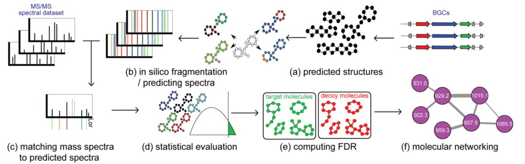 Wageningen University Chem Soc Rev Paper | Integrating Genomics and Metabolomics to Map Specialized Metabolic Diversity