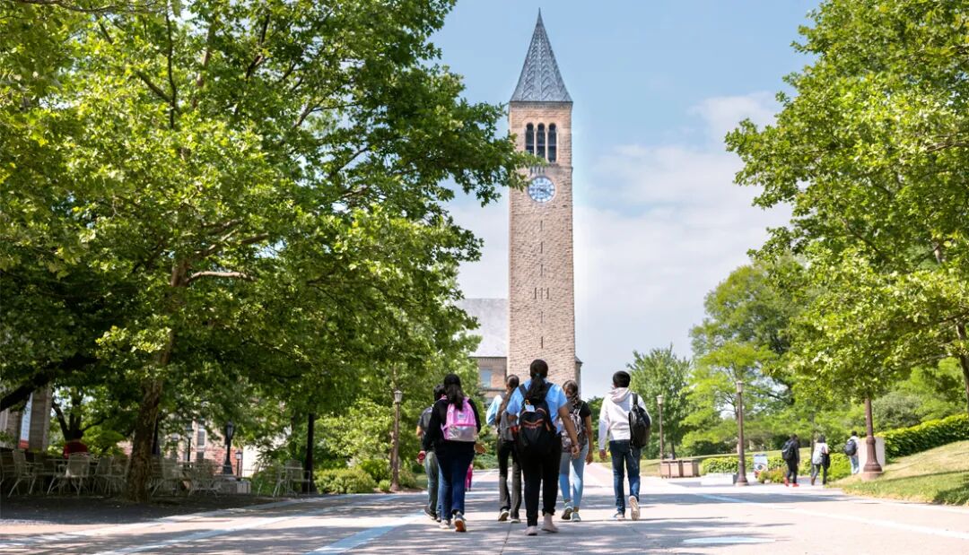 Case Study of Transferring to Cornell: From Being Compared to Taking Center Stage in the Journey of Pursuing Dreams