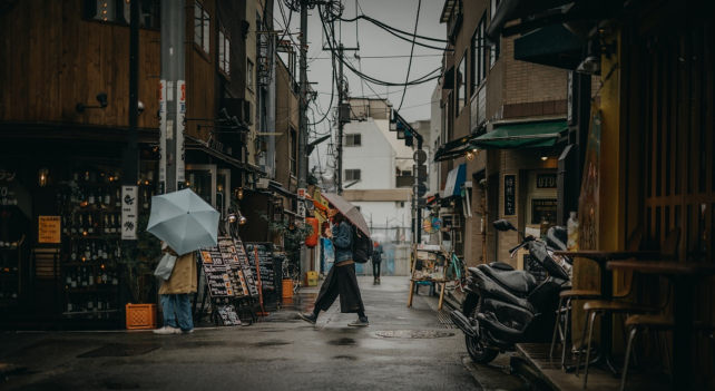 Opportunities in the World's Third Largest Consumer Market: How Chinese AI Toys Tap into Japan's "Loneliness Market"?
