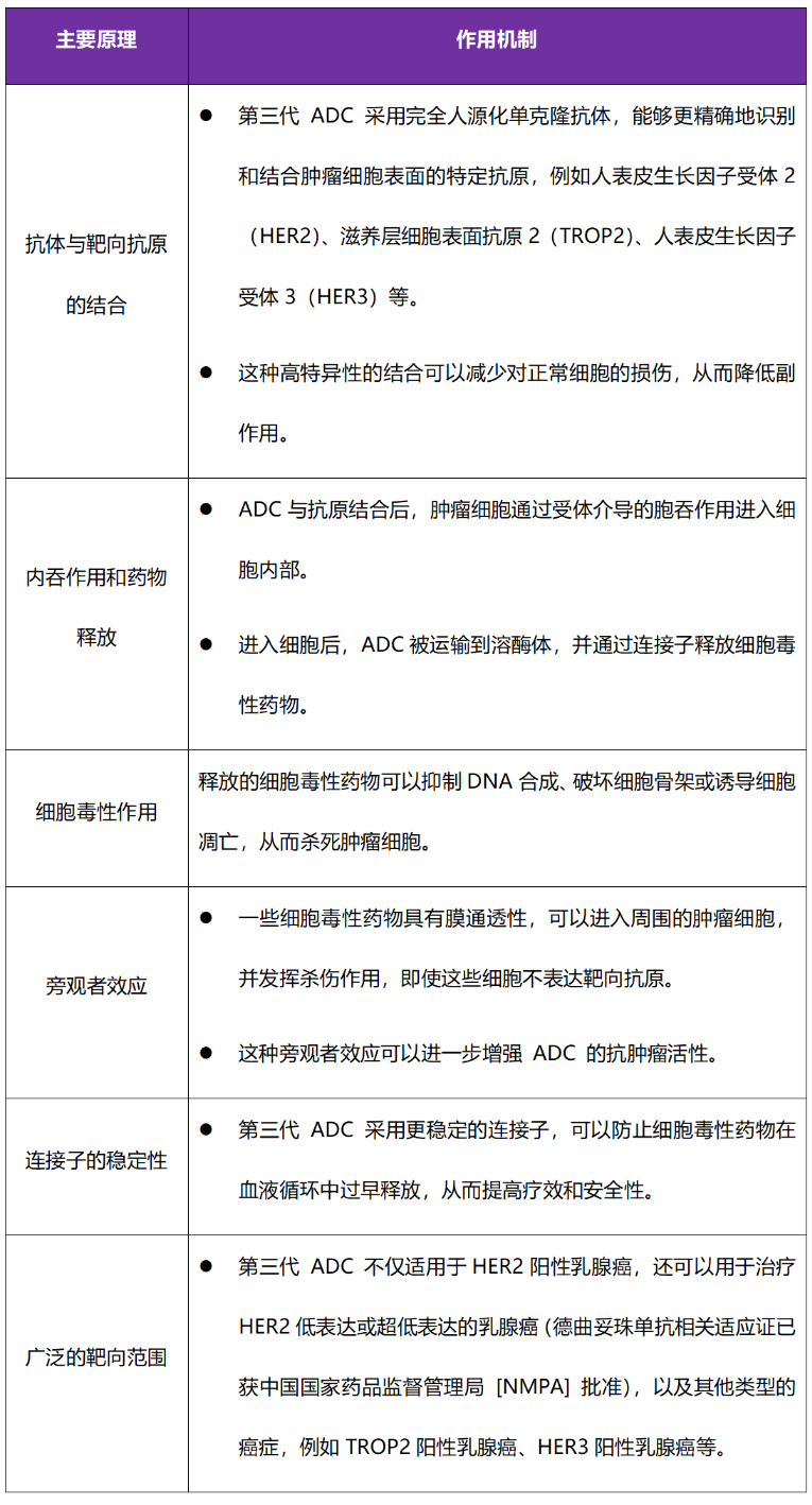 Overview of Six Major Breast Cancer ADCs Launched in China