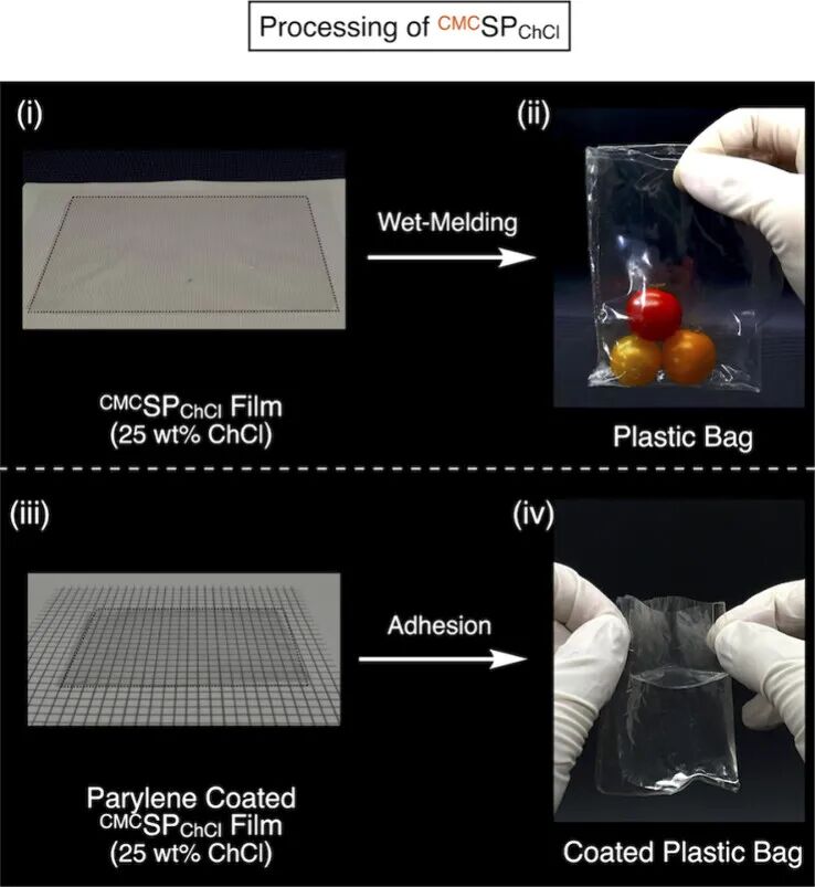 Choline Chloride Mediated Supramolecular Ionic Polymerization: Cellulose-Based Supramolecular Plastics with Widely Adjustable Mechanical Properties