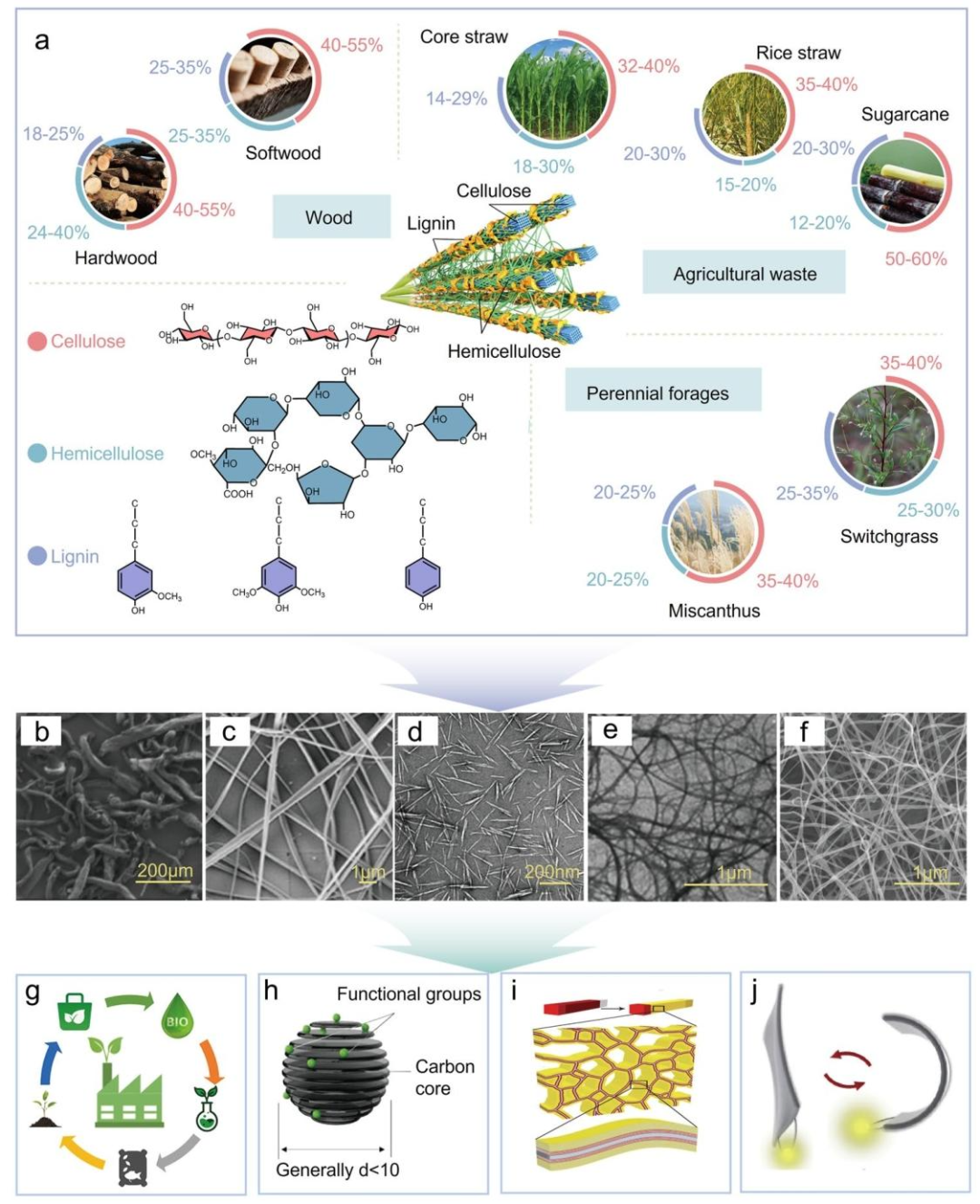 Lignocellulose-Mediated Gel Polymer Electrolytes: Enabling Next-Generation Energy Storage Devices