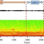 A Vortex-Induced Vibration Warning Method Based on Ensemble-Learning-Embedded Neural Network