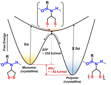 Single-Crystalline Poly(disulfide)s Enabled by Photo-Triggered Topochemical Ring-Opening Polymerization of 1,2-Dithiolane
