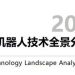 Comprehensive Analysis Report on Humanoid Robot Technology in 2025