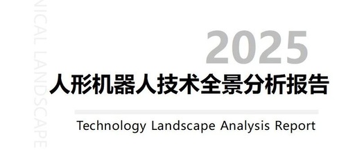 Comprehensive Analysis Report on Humanoid Robot Technology in 2025