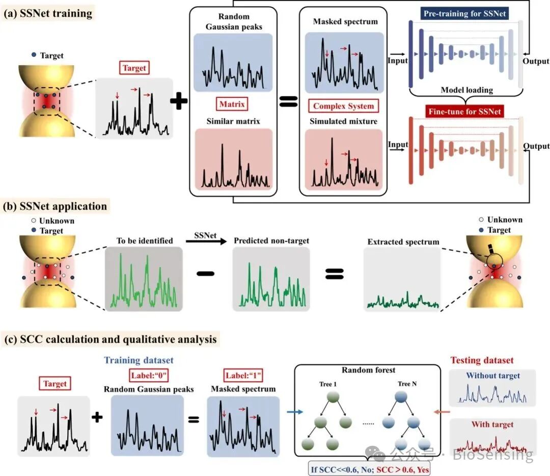 SSNet: A Spectral Unmixing Framework for Enhancing the Qualitative Sensitivity of SERS to Trace Targets in Complex Mixtures