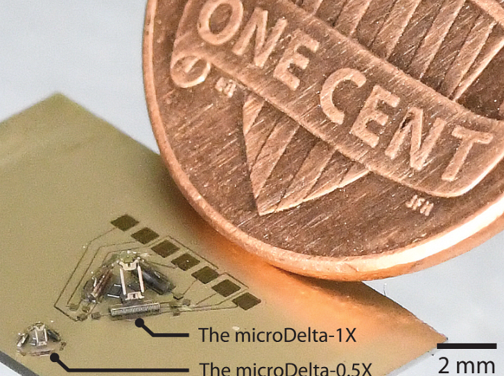 The World's Smallest Delta Robot! 3D Printed and Featured in Science Robotics