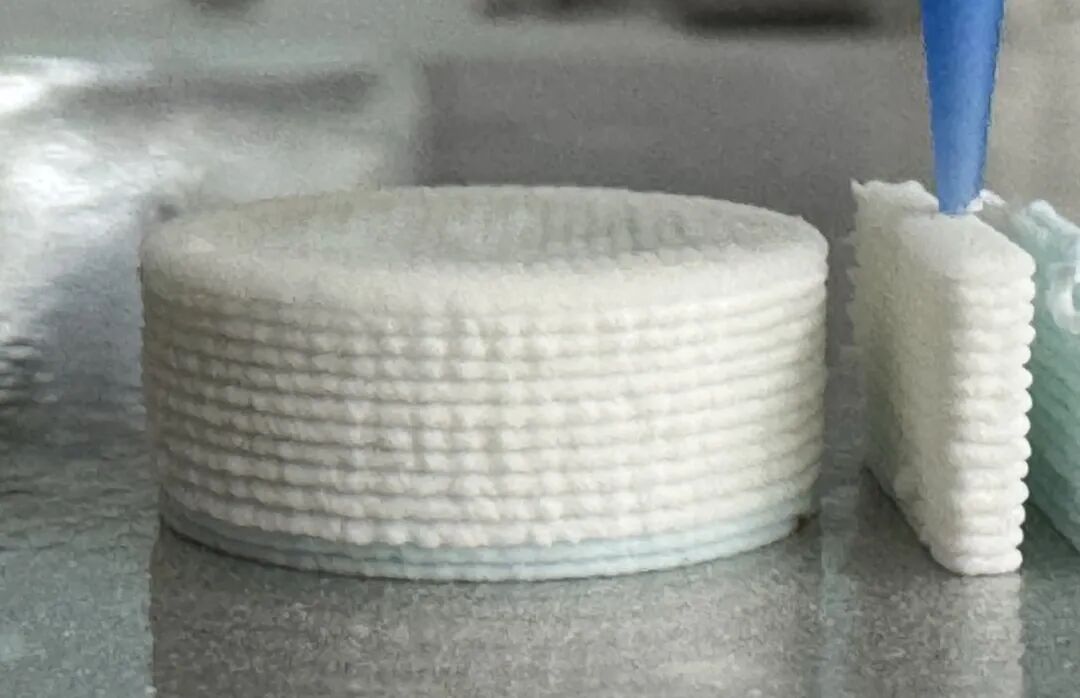 Interview with Chen Peihong: AI Algorithms and 3D Printing - A "Distributed Production" Pharmaceutical Platform for Technological Equity