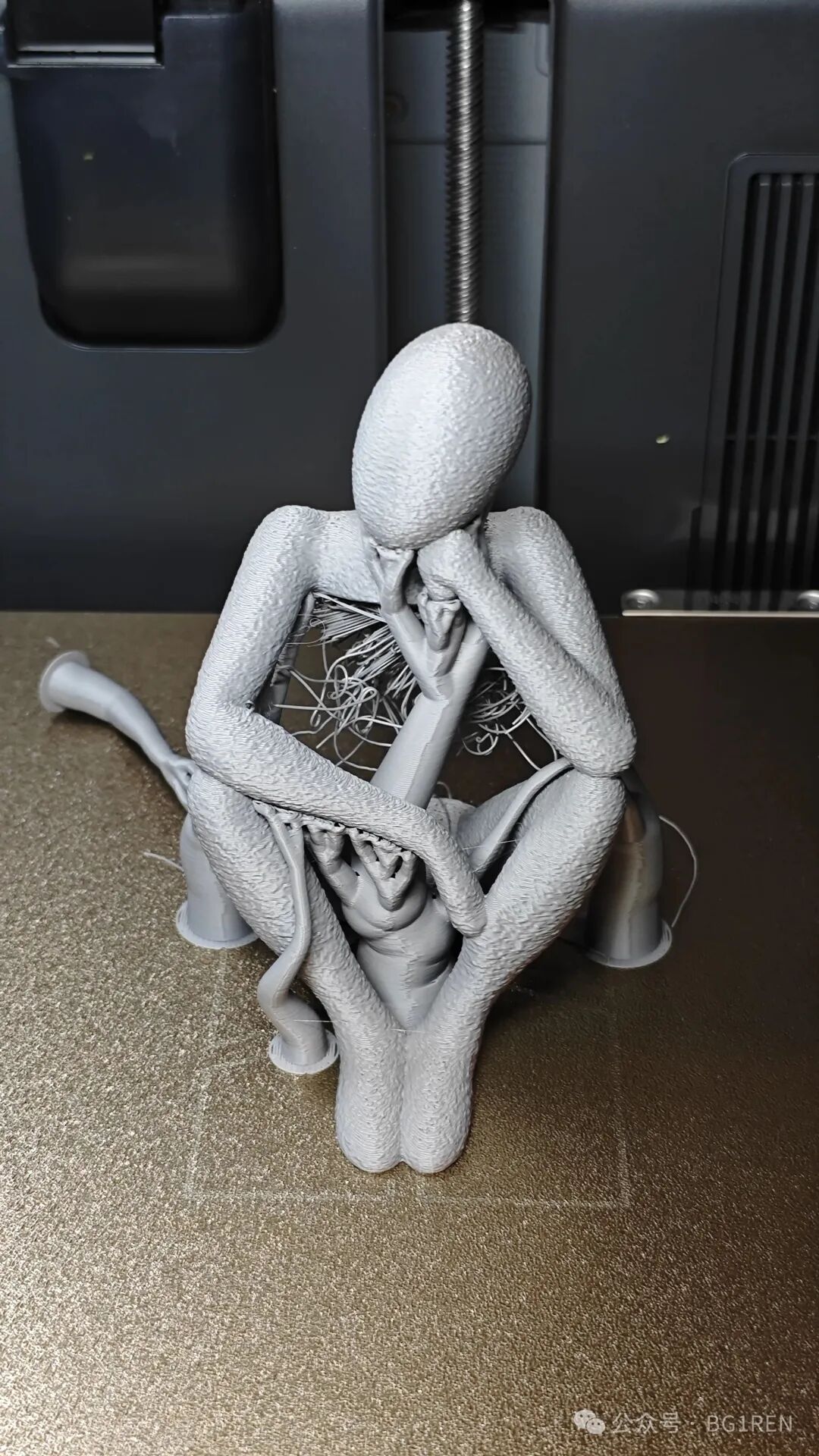 First 3D Printing Failure! Support Collapse Results in Noodle-Like Print...