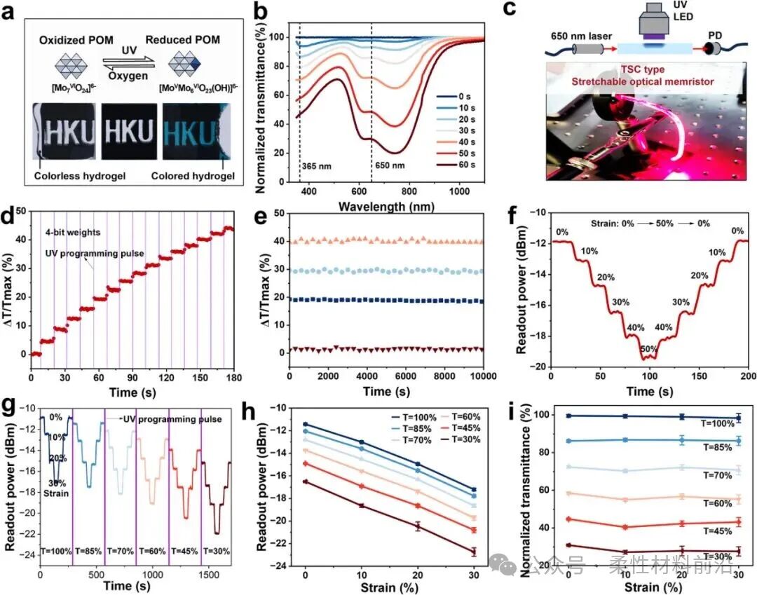 Stretchable Hydrogel Optical Memristor for Photonic Near-Sensor Neuromorphic Skin