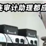 Mandatory Implementation of AI Financial Auditing by State-Owned Enterprises: Will Financial Personnel Face Mass Unemployment?