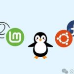 Common Linux Commands (1)