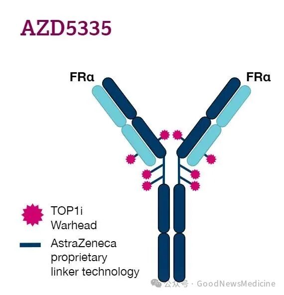 Aligning with the C-Suite! ESMO 2025 Unveils the Trend of ADC Oncology 'Power Grab'