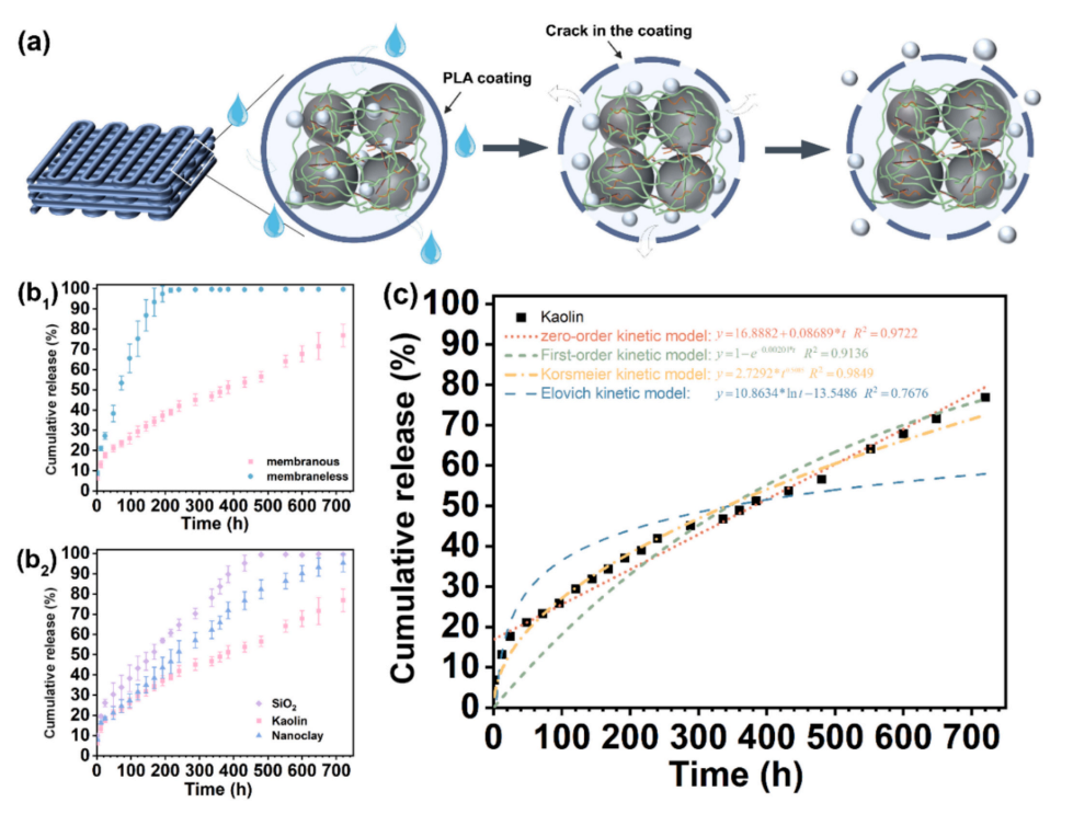 3D-Printable "Smart Skin"? Professor Huan Siqi from Northeast Forestry University Reveals: Multiphase Emulsion Gel Materials with Self-Forming Shells for Smarter Fertilizer Release
