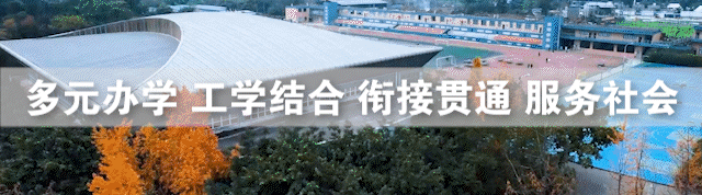Entrepreneurial Journey of Jiang Qinyu: Soaring with Professionalism and Innovation in IoT