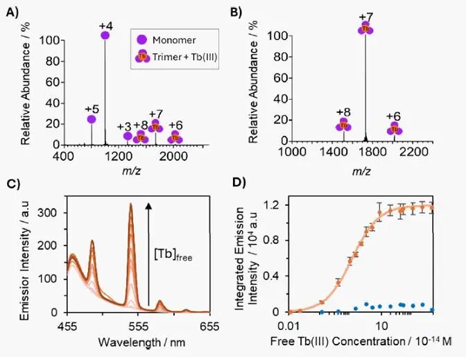 Stabilization of Metal-Coiled Coils via Chemical Cross-Linking for MRI Imaging