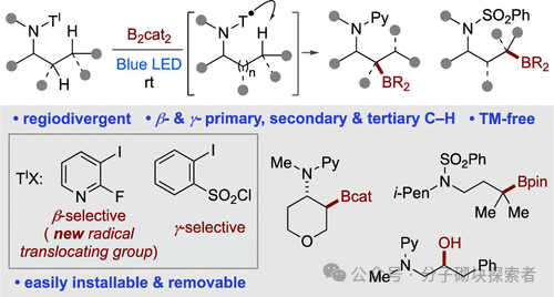 Breakthrough in C–H Borylation of Aliphatic Amines: Metal-Free Catalysis Achieves Selective Functionalization at β/γ Positions