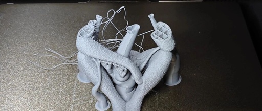 First 3D Printing Failure! Support Collapse Results in Noodle-Like Print...