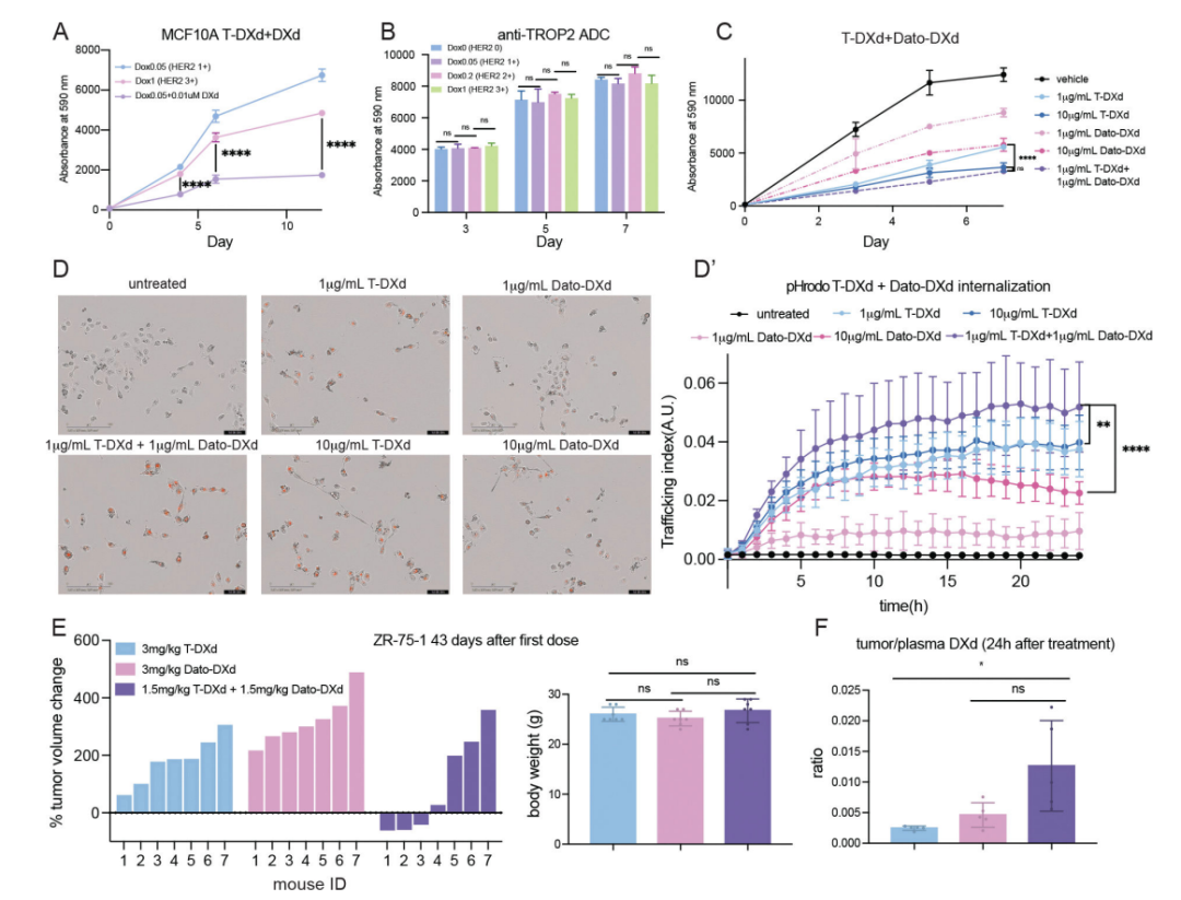 New Strategy for ADC Sensitization: Low-Dose Combination of HER2+TROP2 Dual Agents Outperforms Monotherapy with Significant Tumor Regression