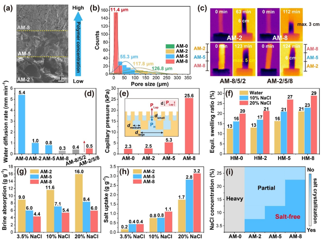 Professor Xu Xiaofeng from Ocean University of China: Achieving Solar Energy Coupling and Resource Utilization of Saline Water through Multi-Material 3D Printing
