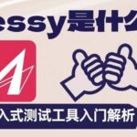 What is Tessy? An Analysis of an Embedded Testing Tool for Beginners