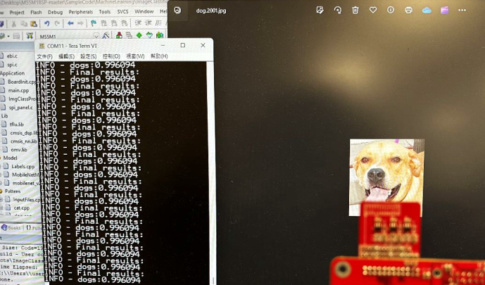 Finding Solutions | Nuvoton M55M1 Combined with NuEdgeWise: Efficient Implementation of AI Image Recognition and Easy Training of Cat and Dog Recognition Models