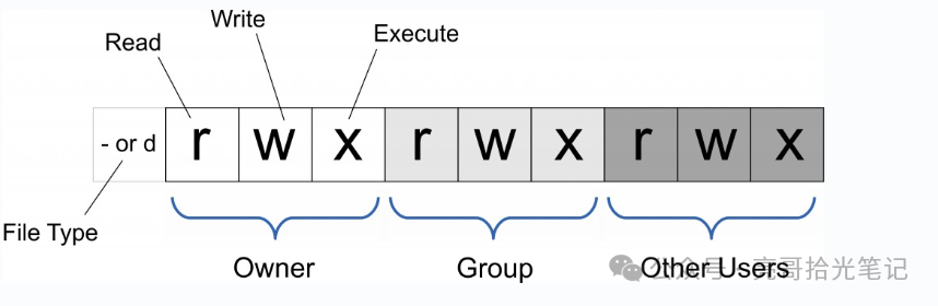 Comprehensive Guide to Linux Commands - chmod Command