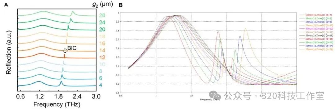 Simulation and Reproduction of Biosensors Based on Bound States in the Continuum (BIC)
