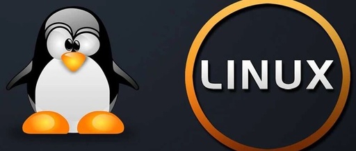 Linux System Disk Space Available but Read-Only Error: No Space Left on Device