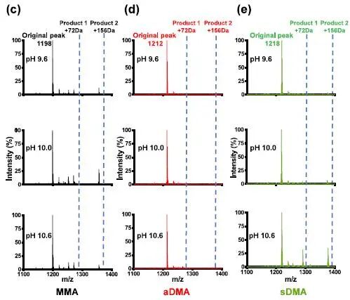Decoding Arginine Dimethylation Isomers via pH-Tuned Reactivity with Methylglyoxal: A Chemical Approach for Functional Proteomics