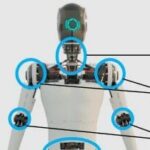 Understanding the Rotational Motor Controller for Humanoid Robot Joints