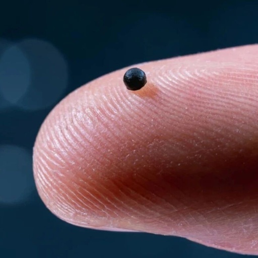 Microscale Robots Become 'Delivery Agents' in the Body, Precisely Delivering Drugs Against Blood Flow
