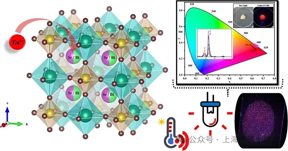 Multifunctional Role of Eu3+ in NaSrBiTeO6 Double Perovskites for Solid-State Lighting, Temperature Sensing, and Latent Fingerprint Applications