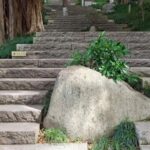 Integrating Nursing Homes into Communities: Why Fuzhou's Embedded Elderly Care Model Angers Luxury Homeowners