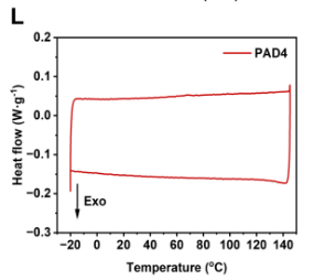 Single-Crystalline Poly(disulfide)s Enabled by Photo-Triggered Topochemical Ring-Opening Polymerization of 1,2-Dithiolane