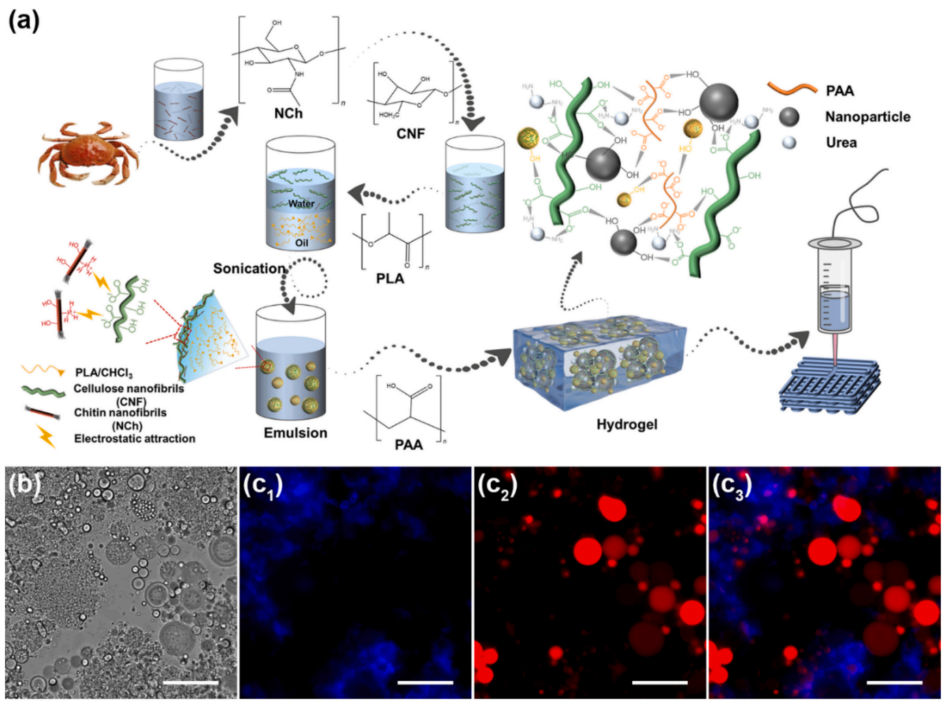 3D-Printable "Smart Skin"? Professor Huan Siqi from Northeast Forestry University Reveals: Multiphase Emulsion Gel Materials with Self-Forming Shells for Smarter Fertilizer Release