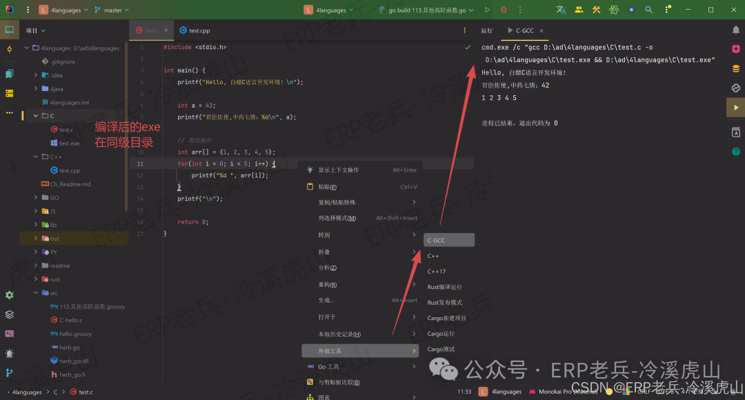 Quick Configuration Guide for C/C++ Development Environment (Without CMake) Using External Tools in IDEA: Macro Variables + Clion (JVM Parameter Table)