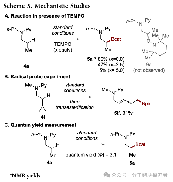 Breakthrough in C–H Borylation of Aliphatic Amines: Metal-Free Catalysis Achieves Selective Functionalization at β/γ Positions